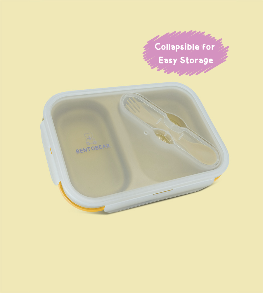 Collapsible Lunchbox